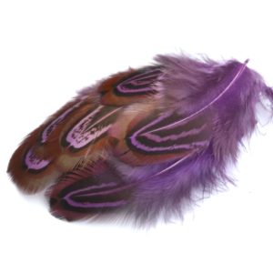 Barevné peří z bažanta fialové
