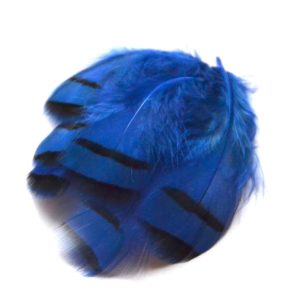 Peříčka z koroptve modrá