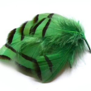 Peříčka z koroptve zelená