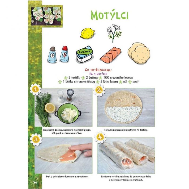 motýl 1