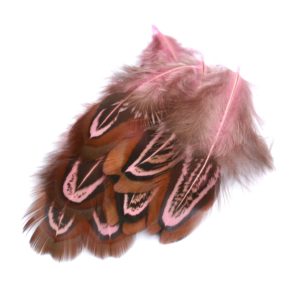 Barevné peří z bažanta růžové