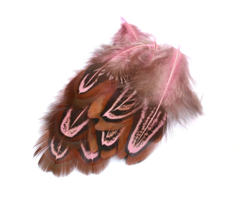Barevné peří z bažanta růžové