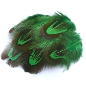 Barevné peří z bažanta zelené