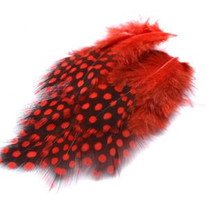 Perlička červená