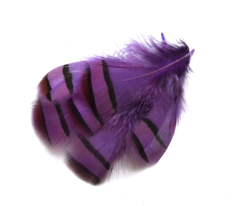 Peříčka z koroptve fialová