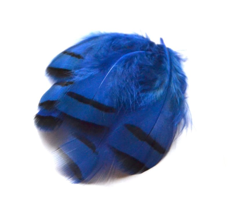 Peříčka z koroptve modrá