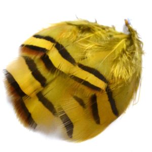 Peříčka z koroptve žlutá